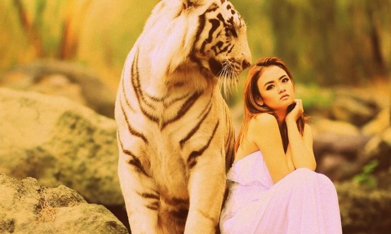 Dívka a tygr